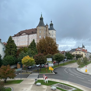 french-Montbeliard